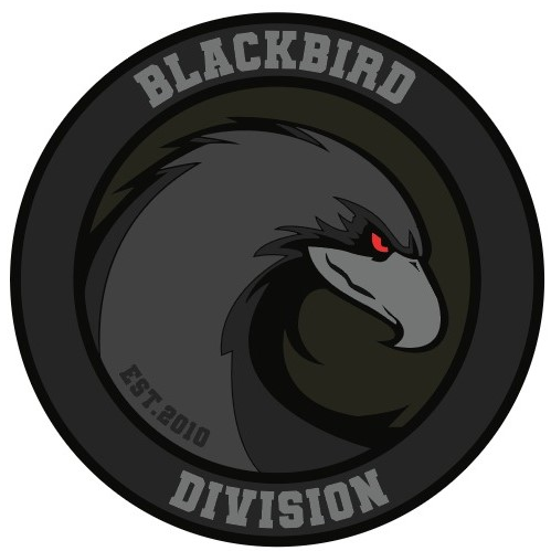 48th Blackbird Division