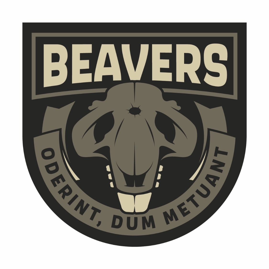 Beavers