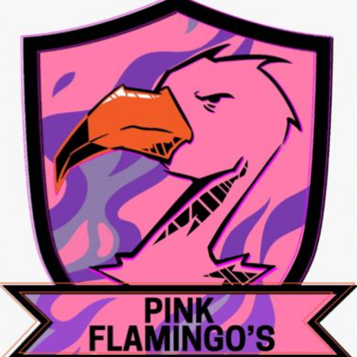 Pink Flamingo’s